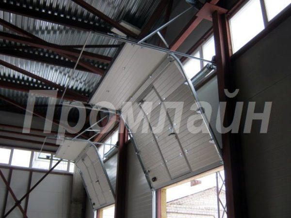 Промышленные секционные подъемные ворота Doorhan с калиткой